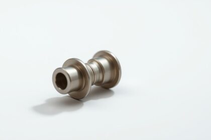Analplug
