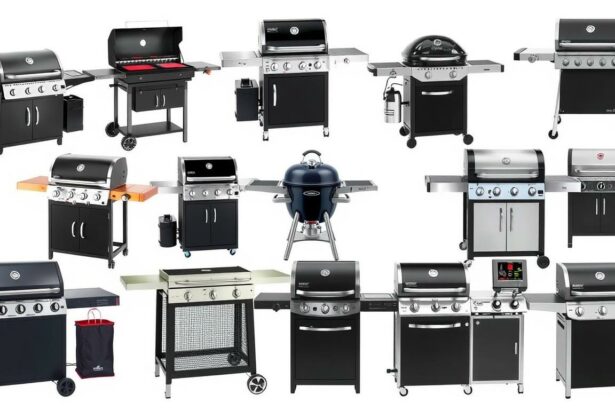 Verschiedene Grillmodelle 2025 in einer Reihe aufgestellt