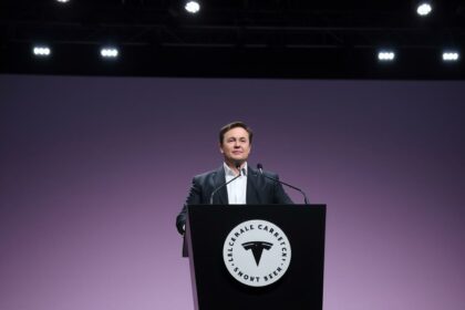Elon Musk Partei