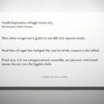 Zitate von Pablo Picasso