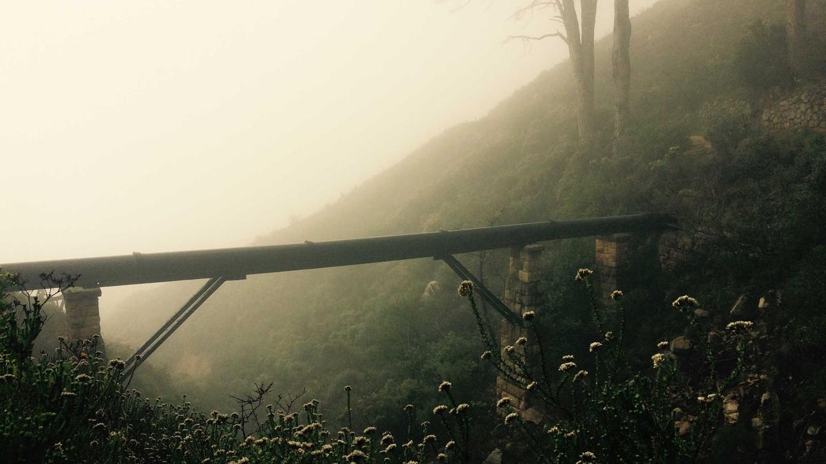 Caleb Williams Style