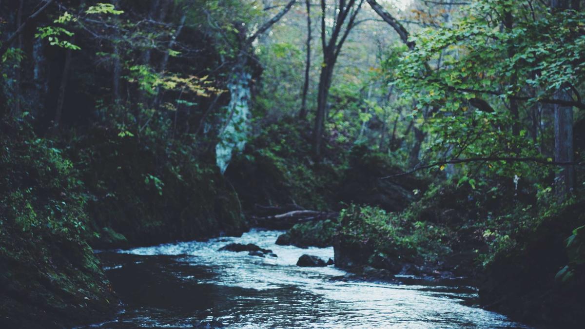 Claire Foy Parasiten