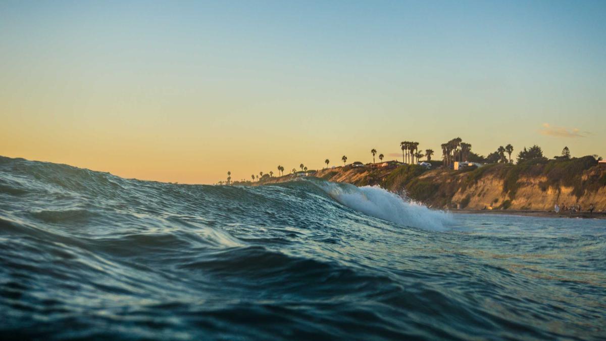 Dieter Bohlen Carina