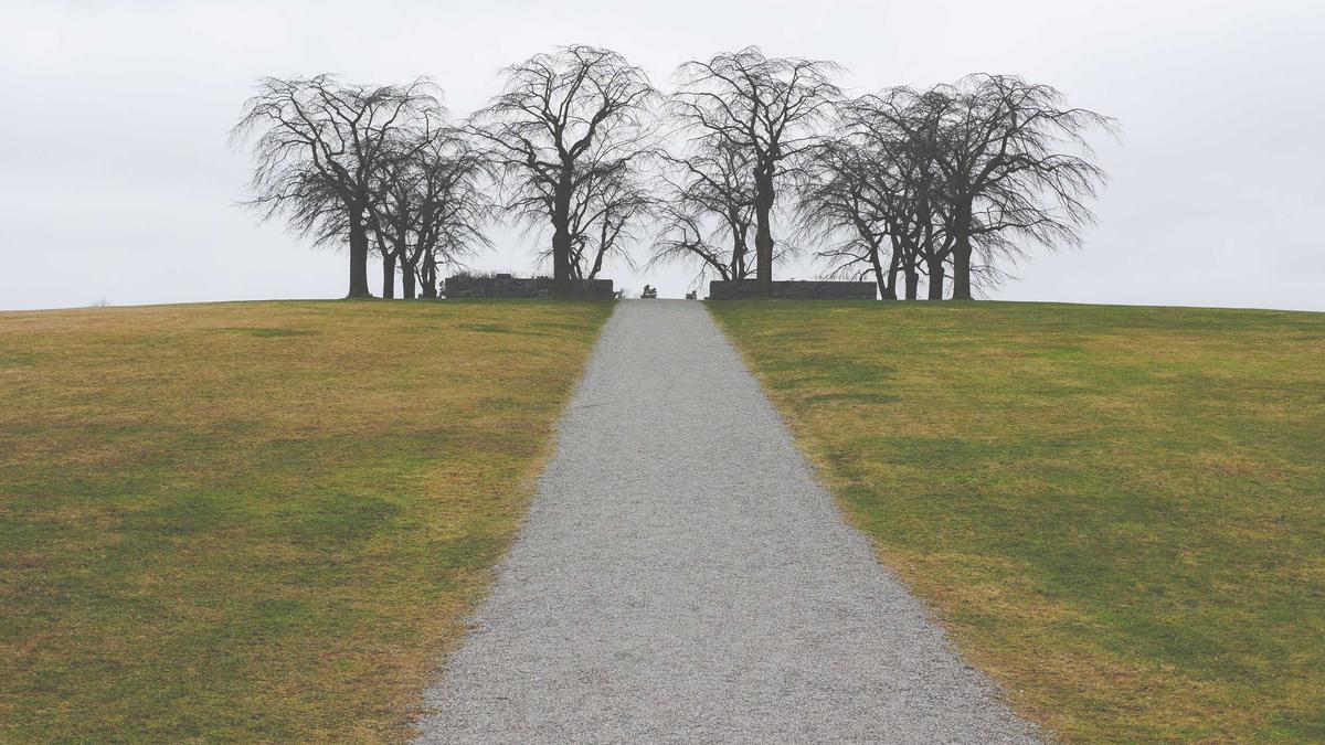 Eva Benetatou Dschungelcamp