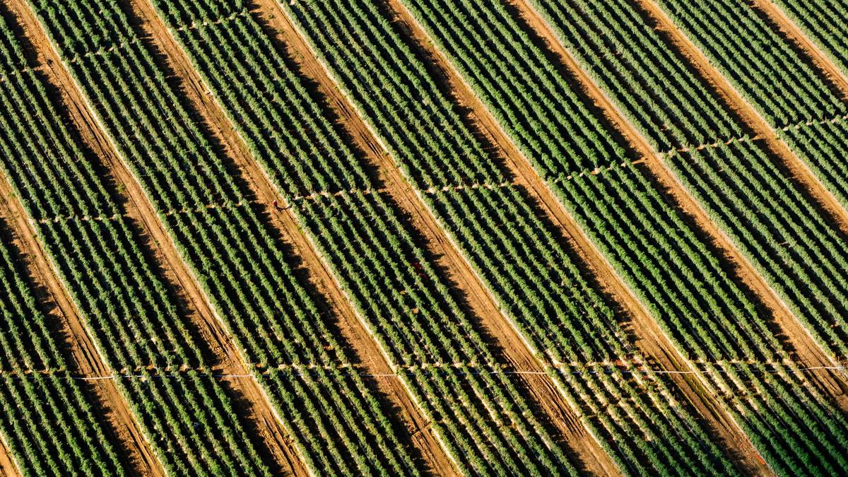 Führerschein Klasse 3