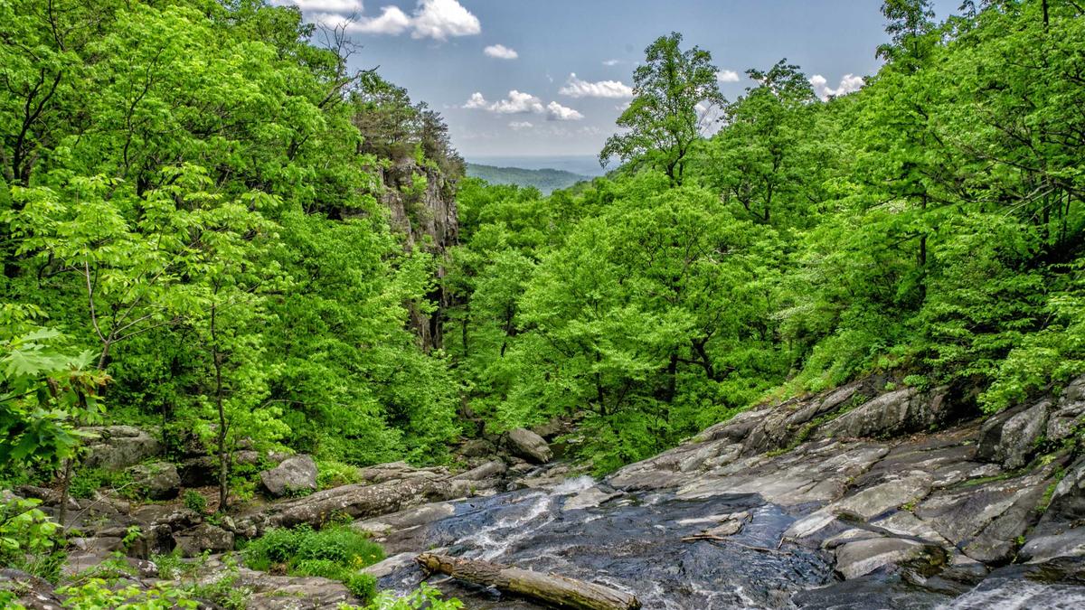 Gina Torres Einbruch