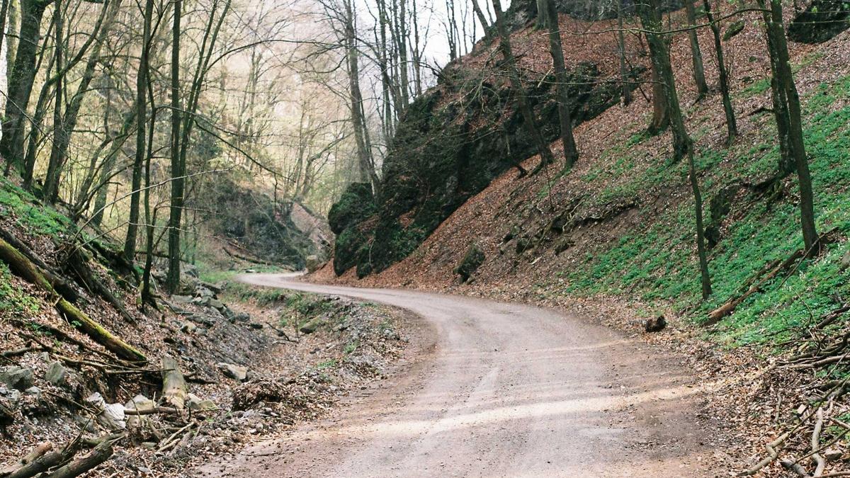 Hauptuntersuchung Auto