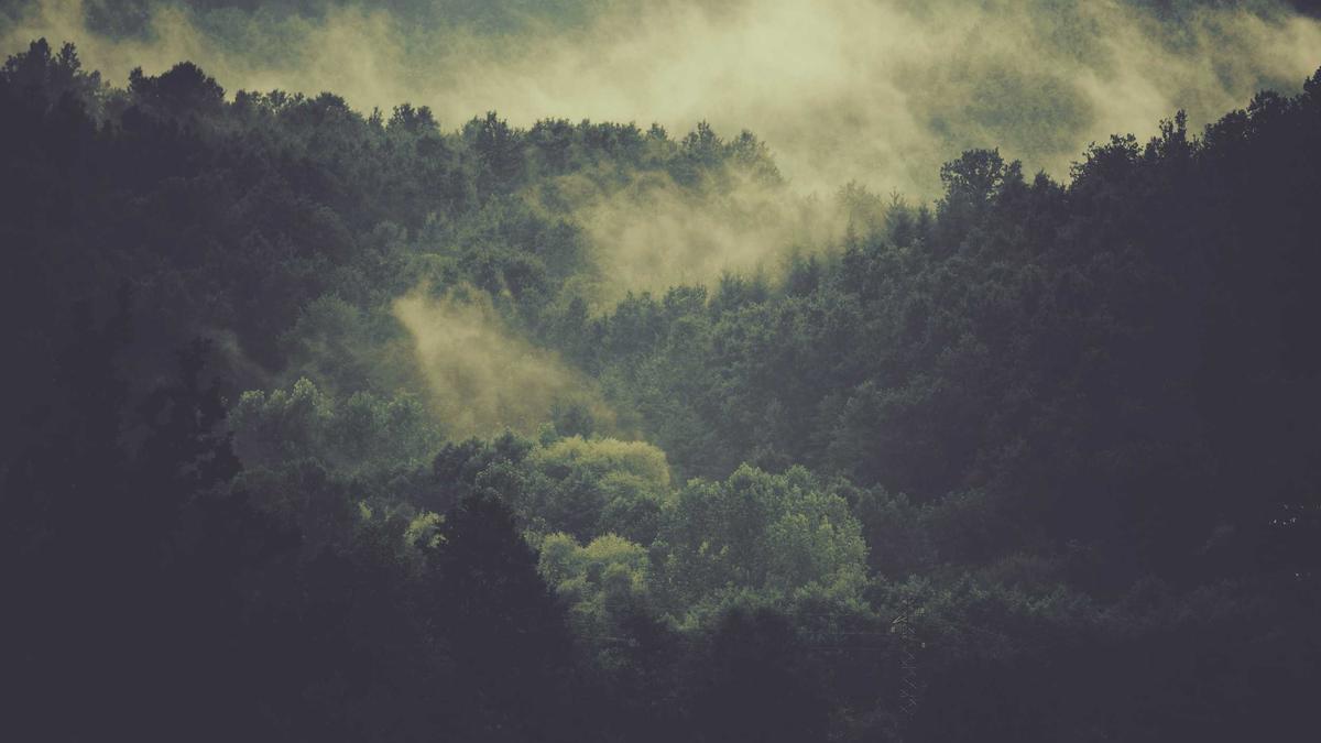 Industrieaufträge Deutschland