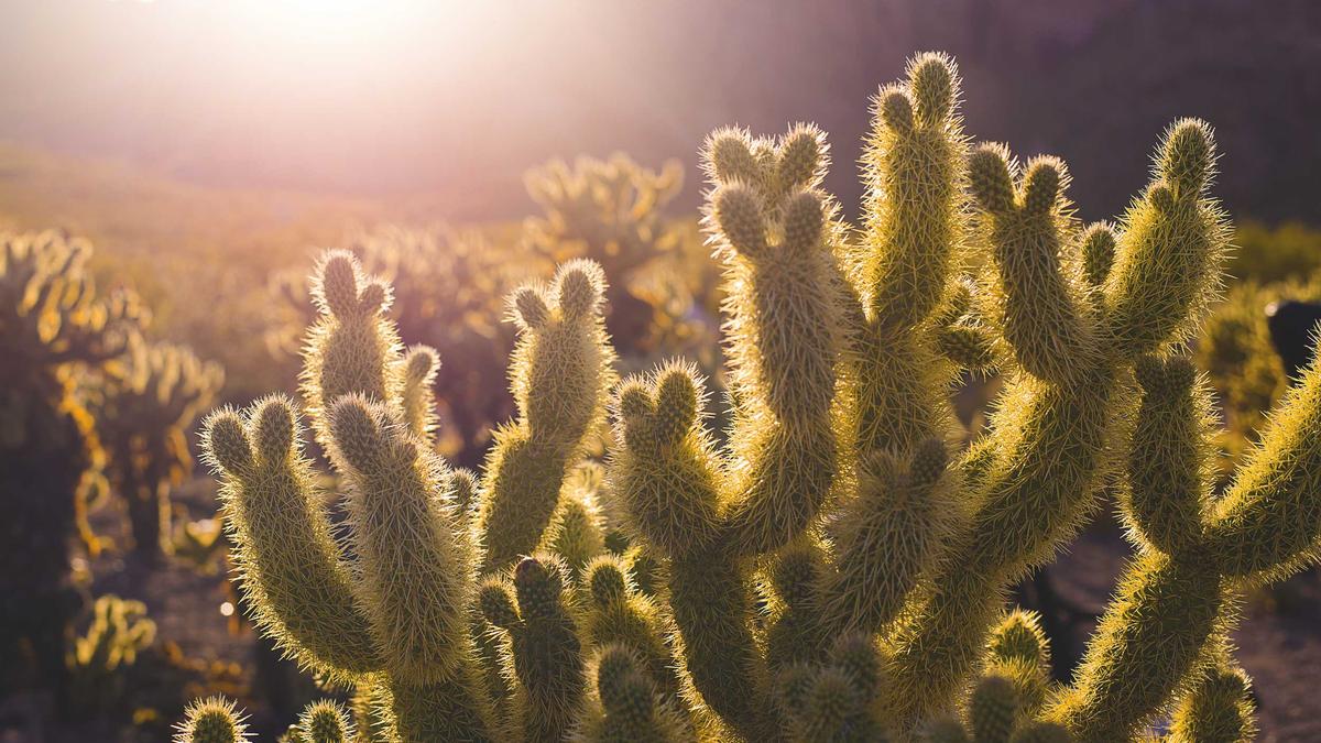 Katharina Eisenblut Baby