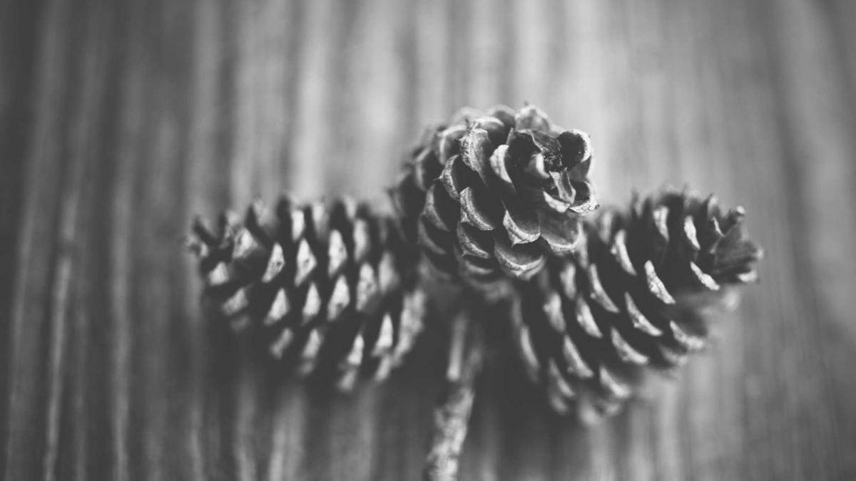 Maschinenbau Aufträge