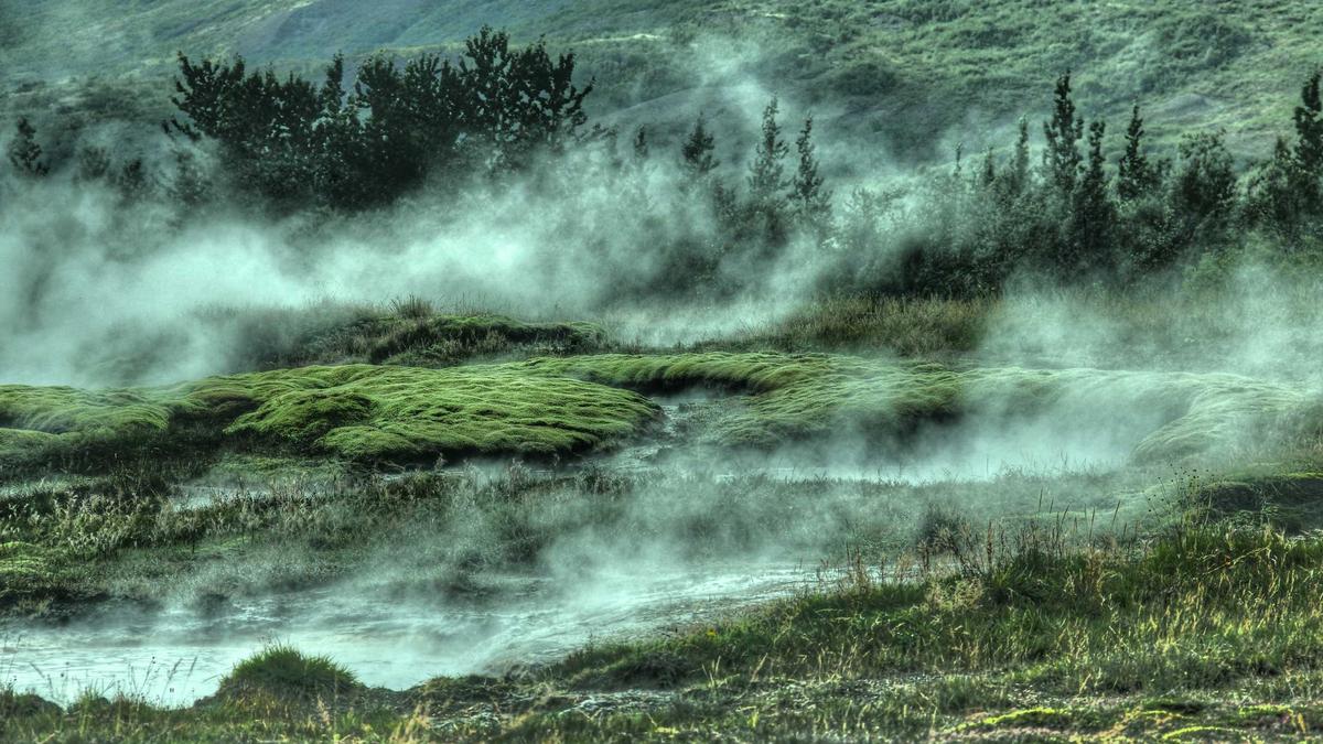 Nick Viall Zwillinge