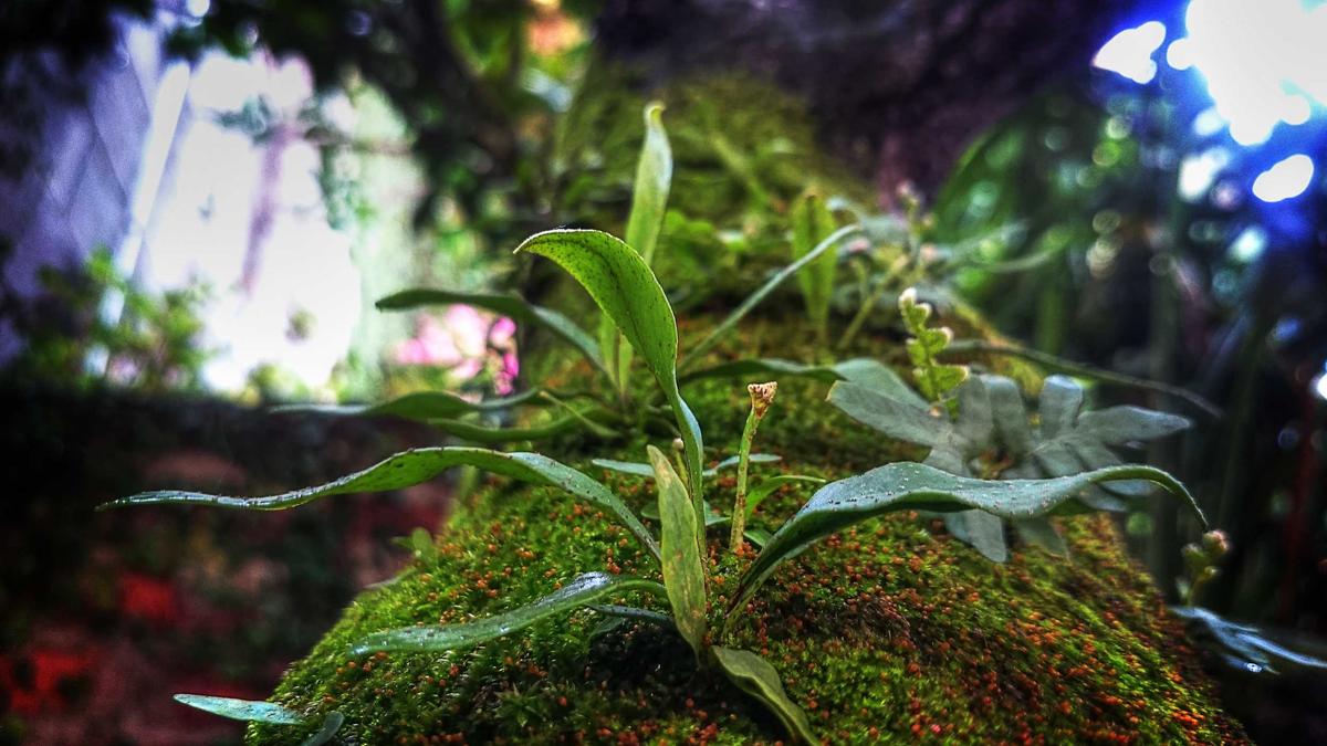 Rollenspiel Brettspiele