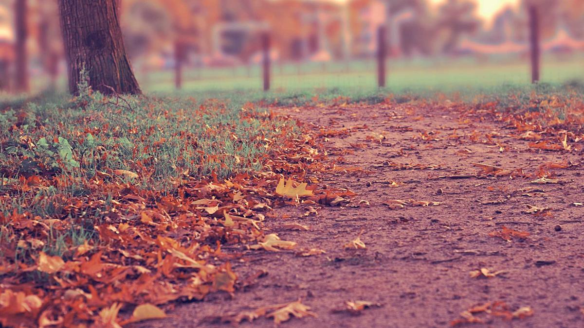 Solaranlagen Saarland