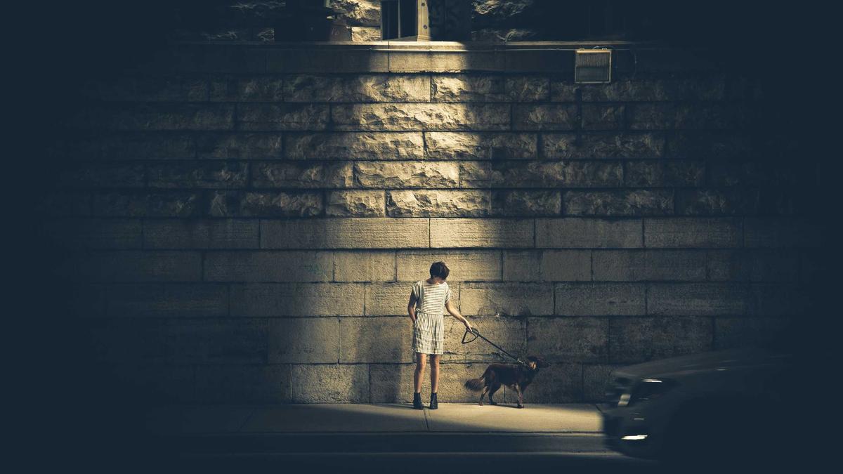 Walton Goggins Fallout