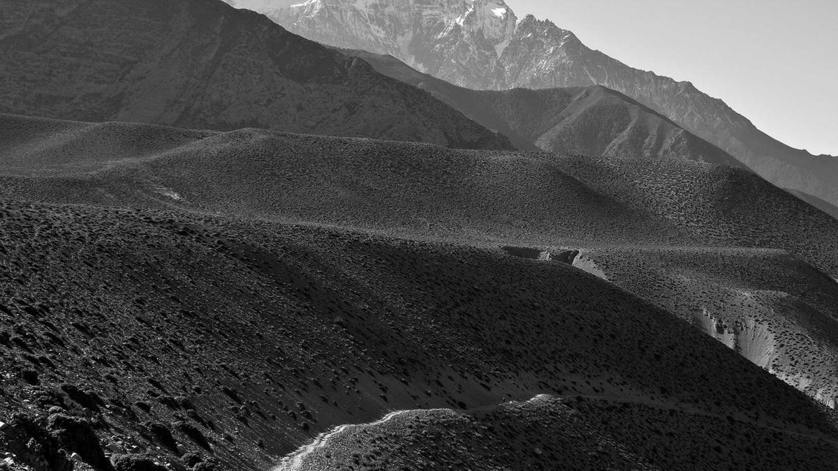 Wohnungsbau Förderung