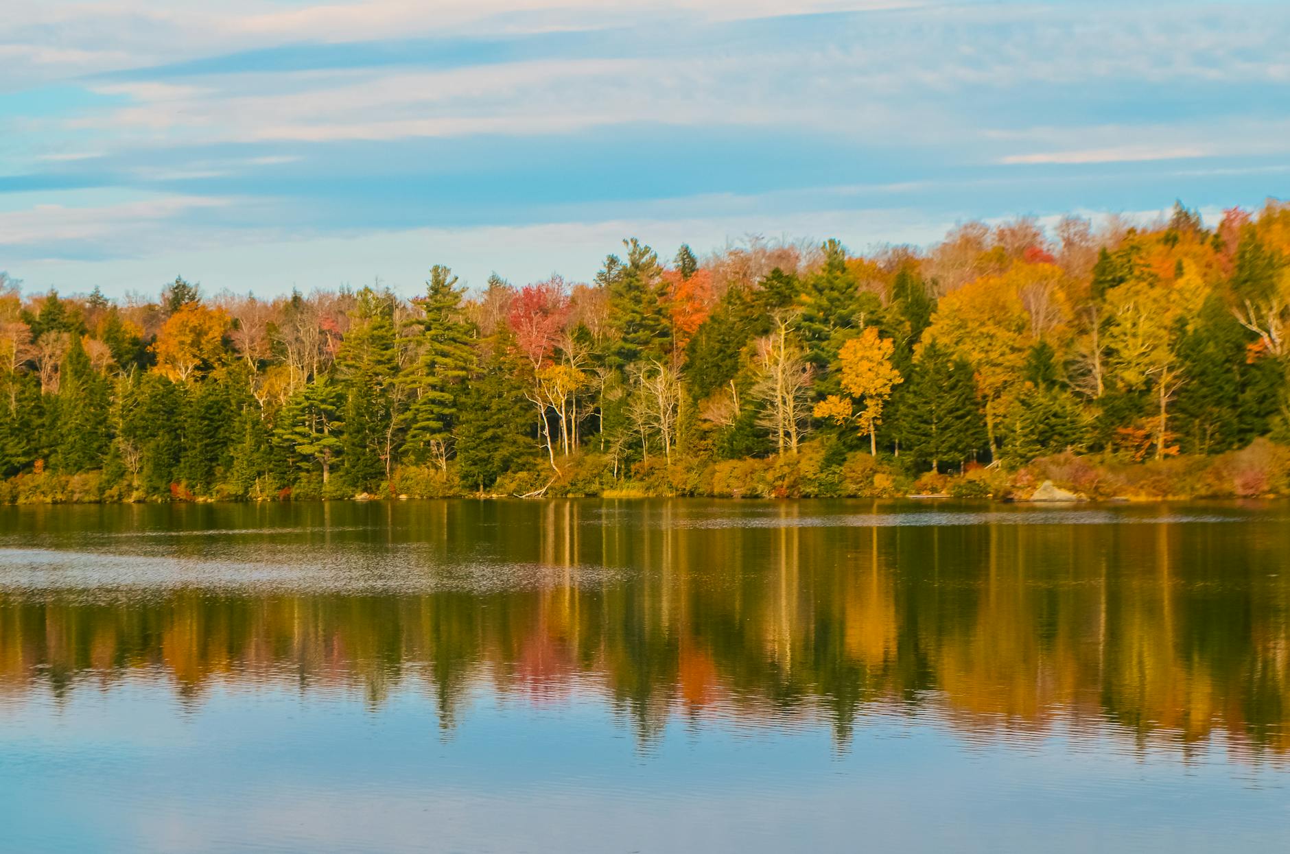Symbolbild zum Thema Ana De Armas Vermont