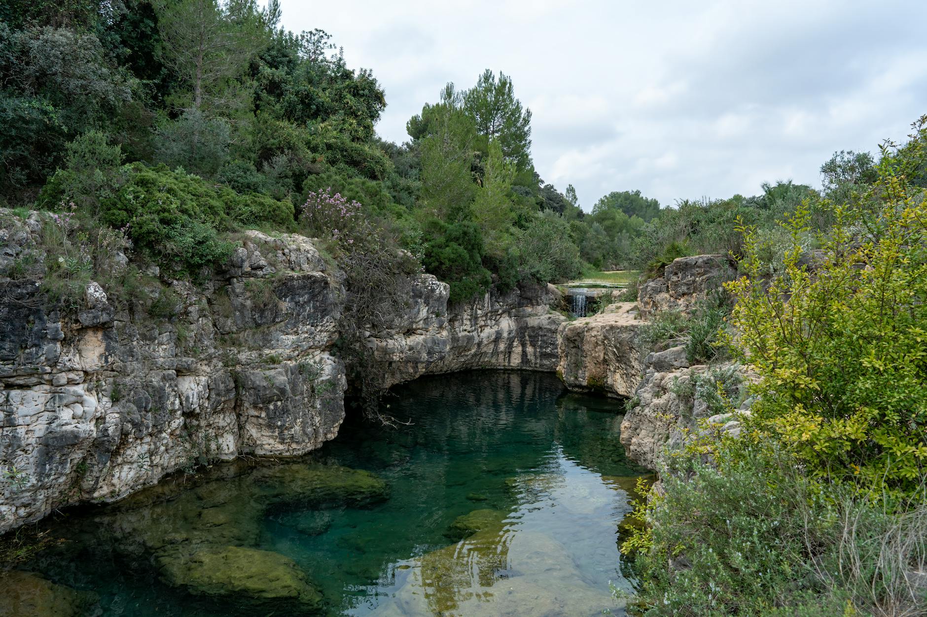 Illustration zu Anna Maria Ferchichi Bushido