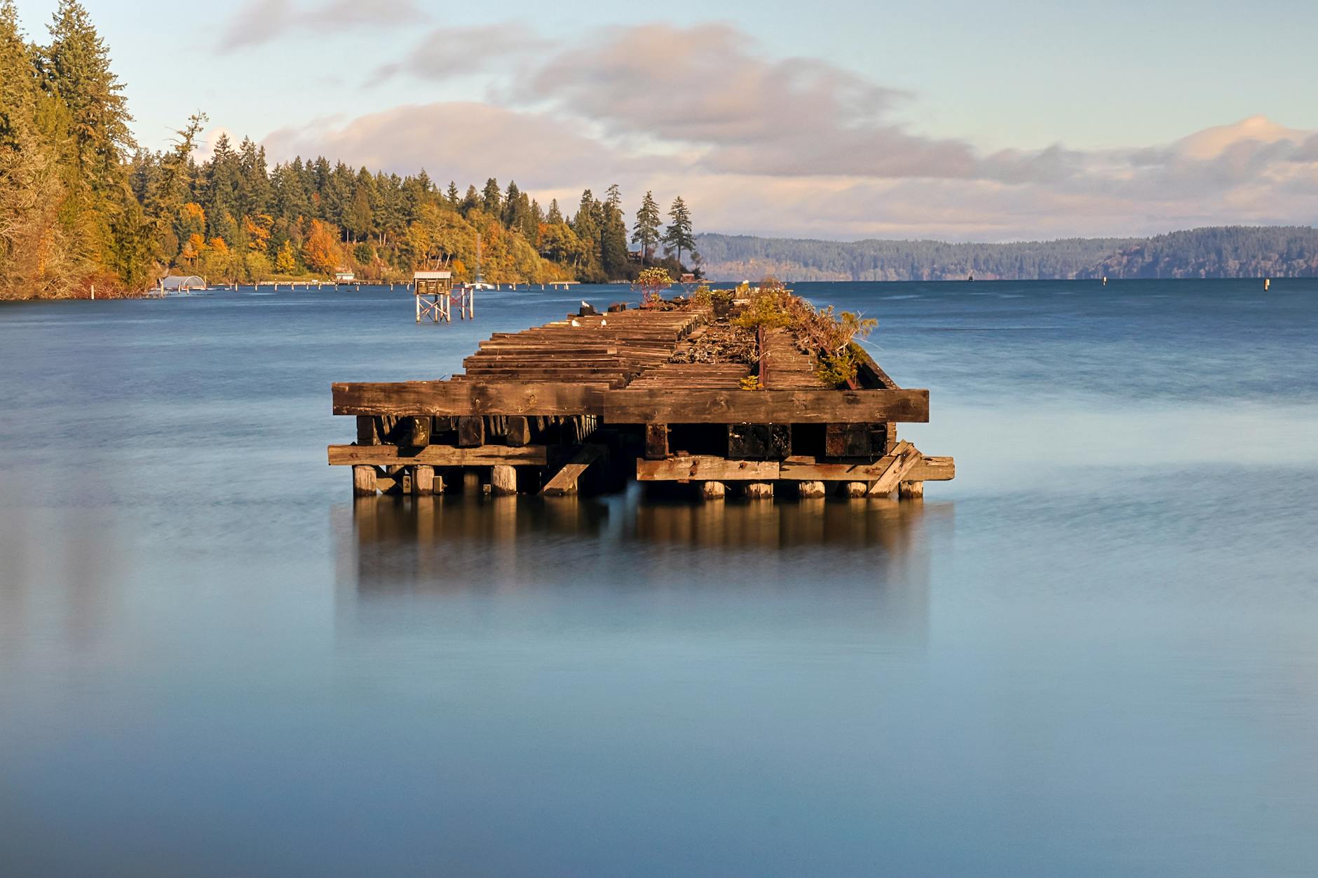 Detailansicht: Charlize Theron Olympia