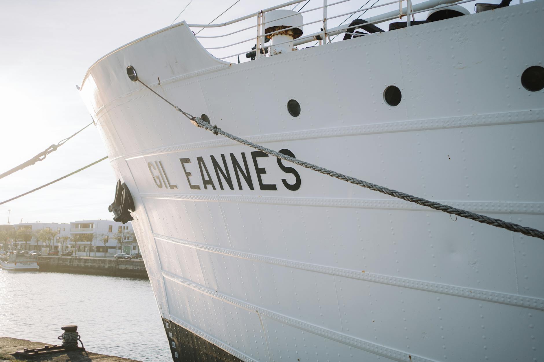 Illustration zu Dschungelcamp Gil Ofarim