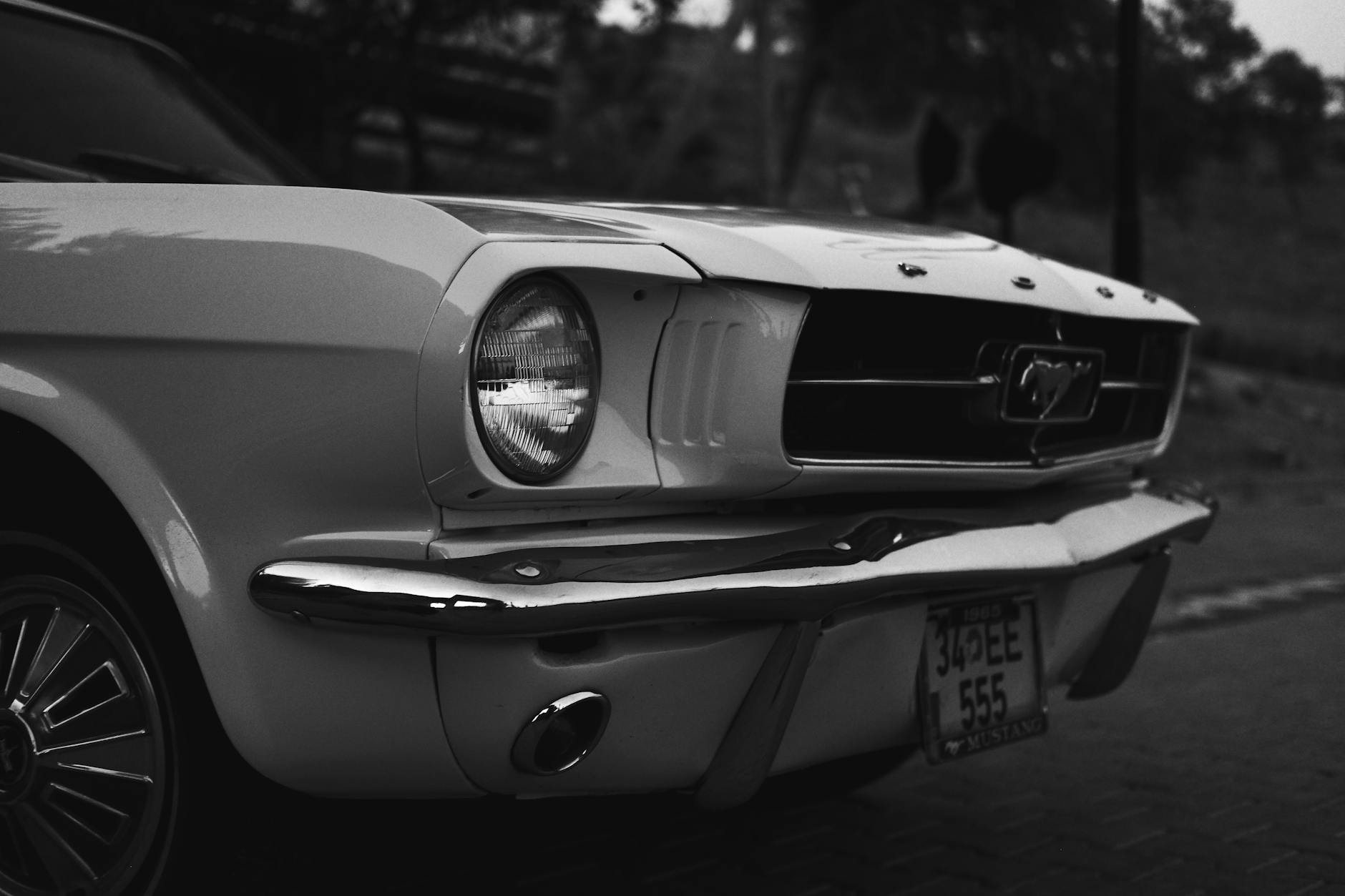 Detailansicht: Mustang GTD
