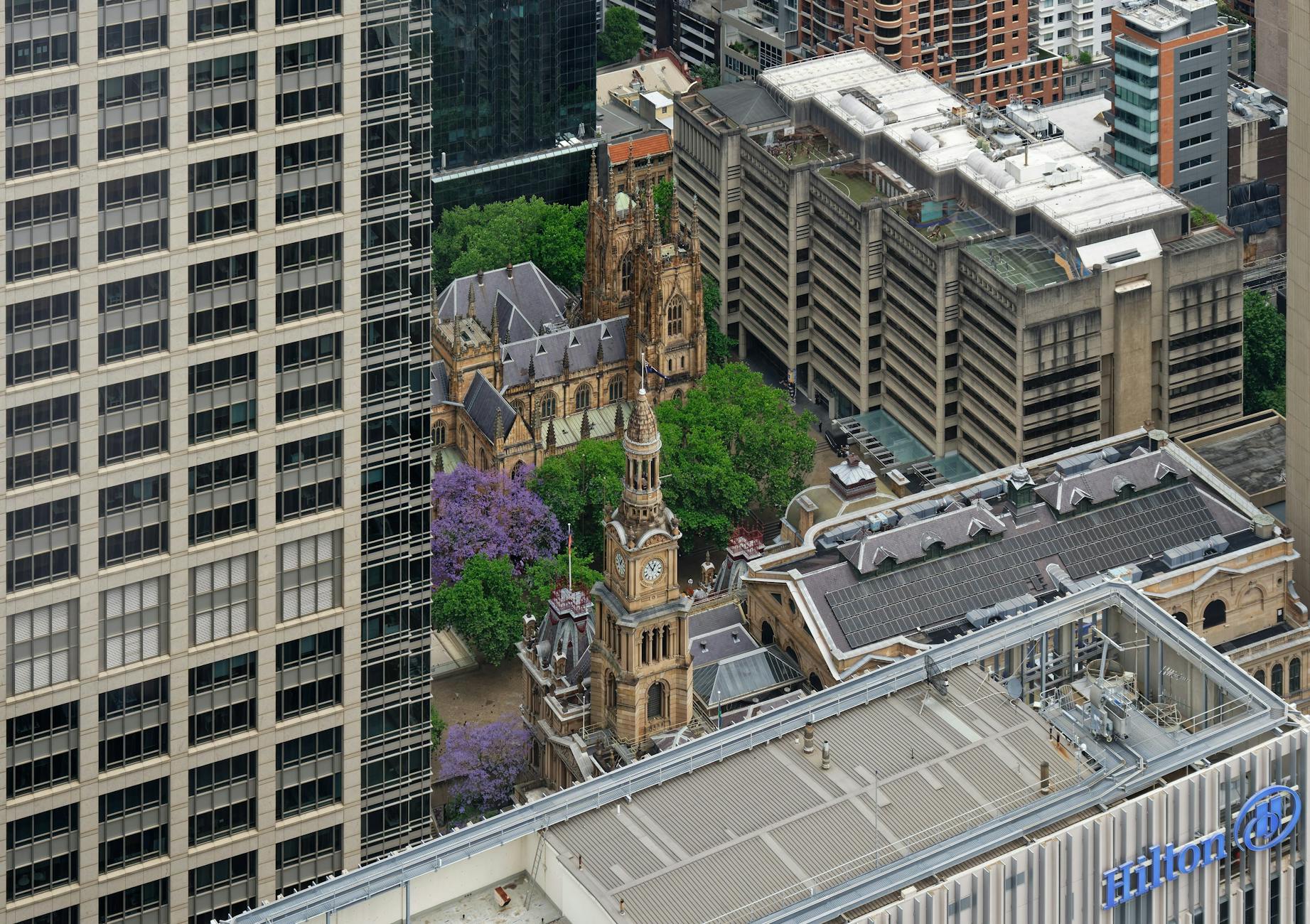 Detailansicht: Paris Hilton Film