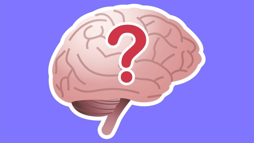 Allgemeinwissen Quiz