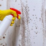 Stockflecken Entfernen