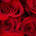 Valentinstag Geschenke